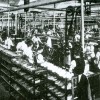 Inside Daventry Factory